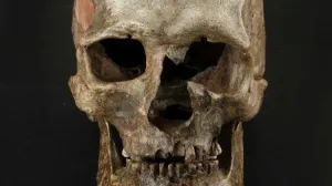 Capítulo secreto de la historia: Verdaderos europeos desaparecieron hace 14.500 años
