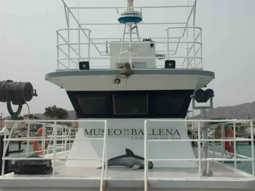 Buque del Museo de la Ballena regresa a patrullar hábitat de la vaquita marina