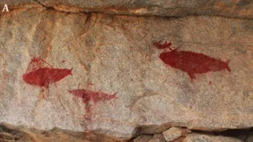 Descubren pinturas de ballenas y tiburones en el desierto de Atacama