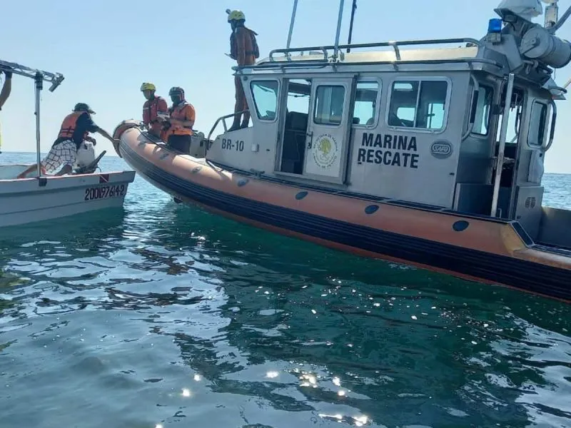 Rescatan a ballena atrapada en malla costera de Oaxaca