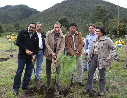 RMV encabeza jornada estatal de reforestación social
