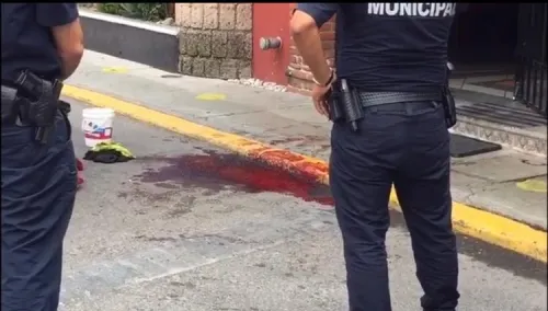 Balean a comensal en la colonia Patrimonio