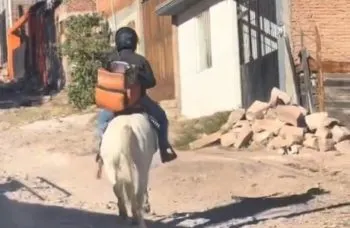 Repartidor de DiDi en Durango se vuelve viral al utilizar un caballo para entregas