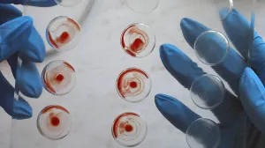 Google ya tiene información sobre nosotros, ¿ahora va por nuestra sangre?