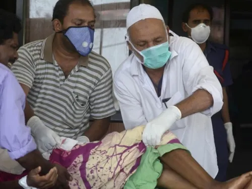 Nipah: Esto dice la OMS de este virus que toma fuerza en redes