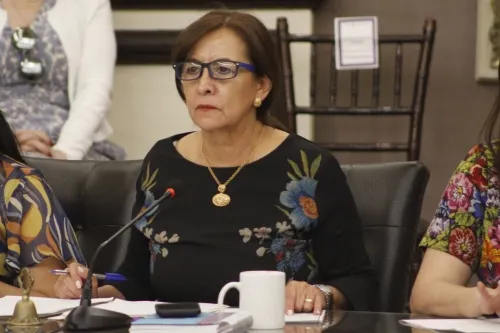 No pueden dar por muerto al PRI en esta elección, sentencia García Olmedo