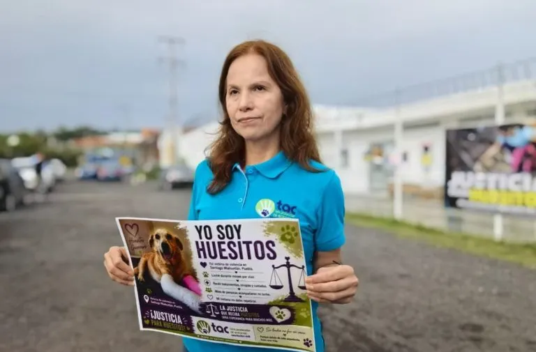Una realidad, sanciones a violentadores de mascotas