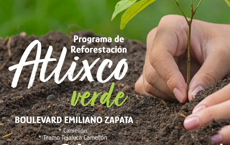 atlixco-verde