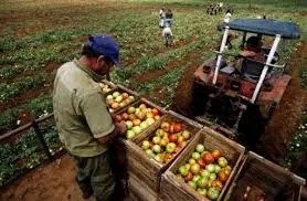 Destina Sagarpa 530 mdp a proyecto de desarrollo rural sustentable