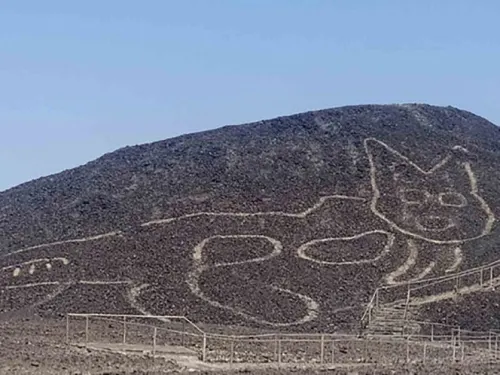 Descubren figura de gato en la Pampa de Nasca, Perú