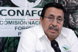 Mineras deberán informar sobre compensación ambiental: Conafor