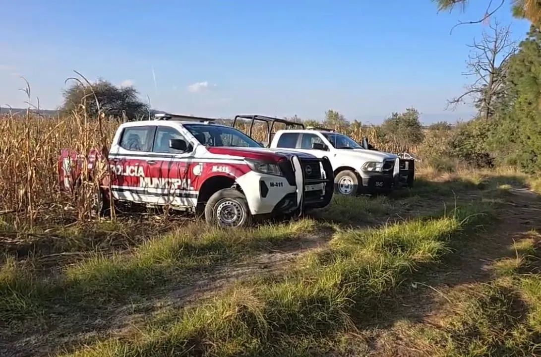 Autoridades de Puebla y Tlaxcala coordinan acciones tras hallazgo de seis cuerpos en zona limítrofe