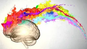 No sólo dieta y ejercicio: qué hacer para tener un cerebro joven