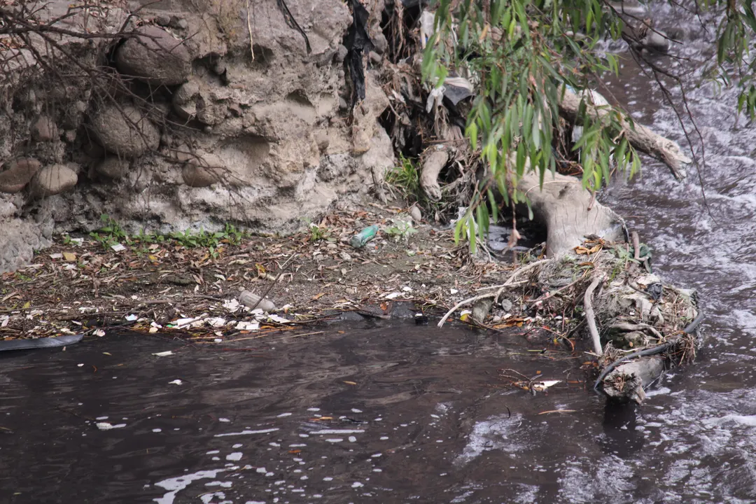 Aguas negras