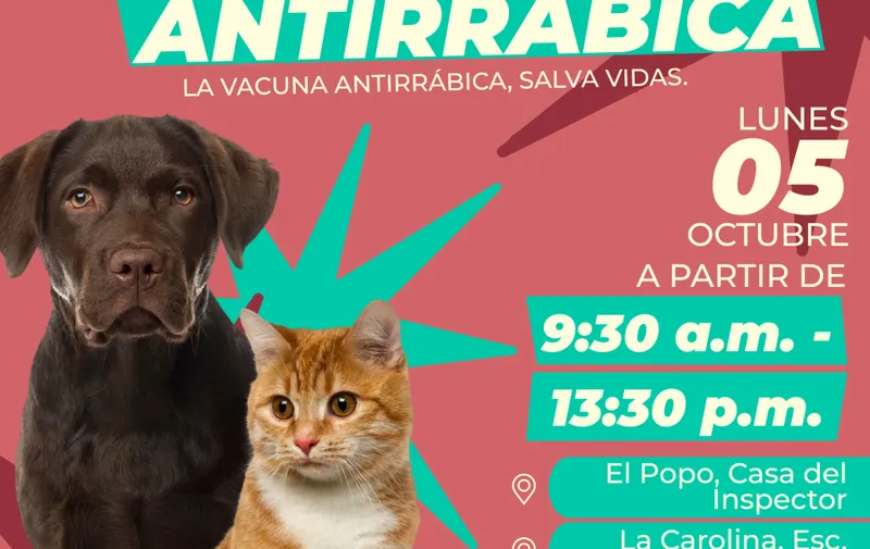 Atlixco llevará vacunación antirrábica para perros y gatos a colonias y comunidades