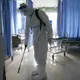 Brote de virus del Ébola