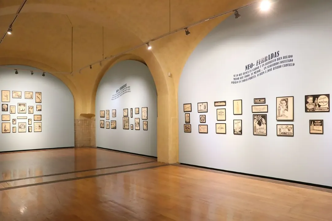 Museo San Pedro