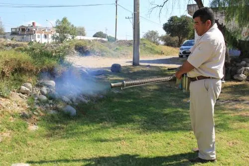 Participación ciudadana, fundamental para prevenir dengue, zika y chikungunya: SSEP