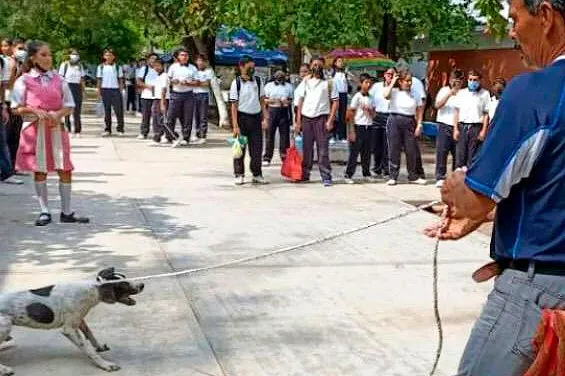Maltrato Animal Perra Secundaria Juchitan Oaxaca