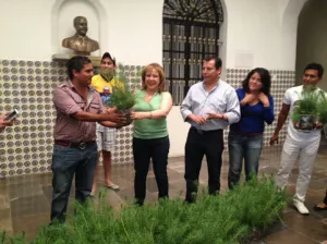 Claudia Hernández da banderazo de salida a brigadas del FJR Municipal