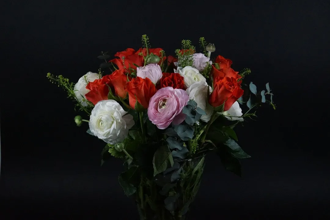 Flores