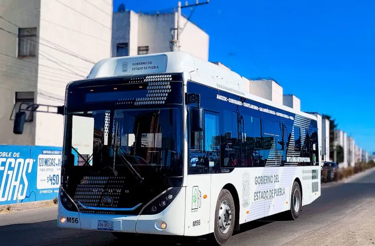 Las bondades de RUTA, Línea 4