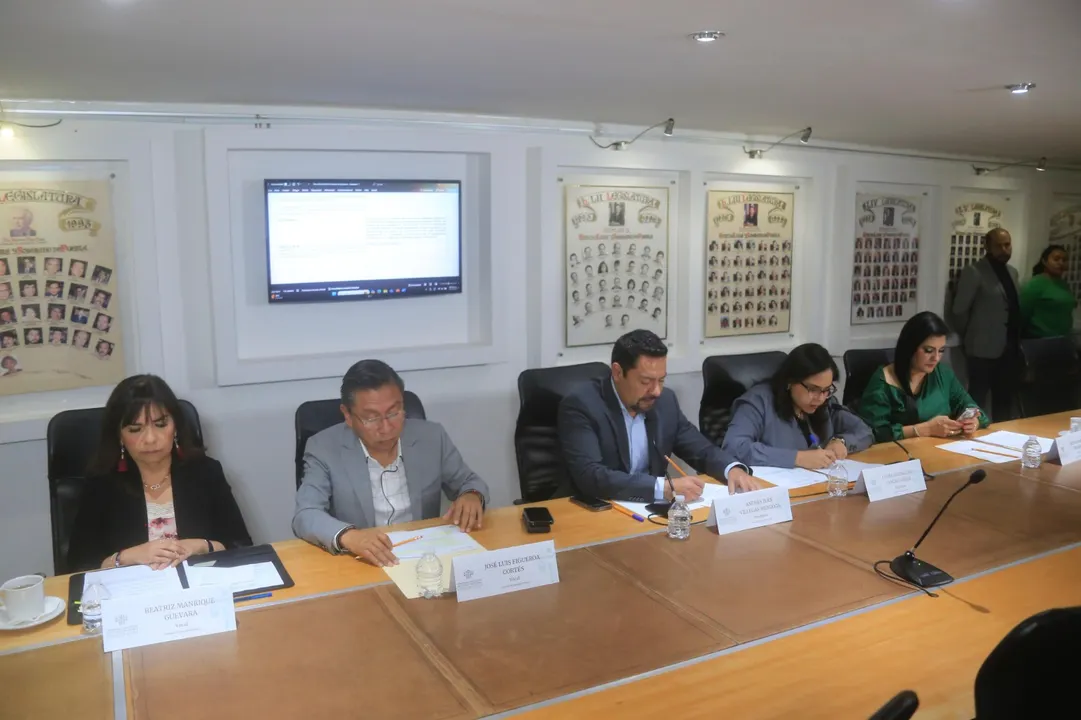 Comisión de Seguridad Pública