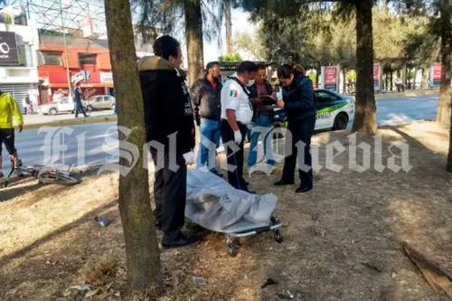 VIDEO: Esperaba para cruzar la calle y ebrio conductor la mata