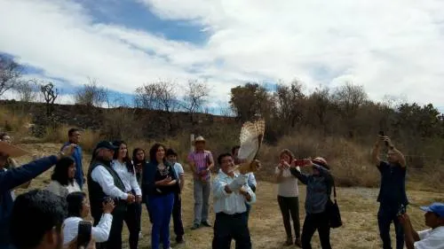 Reintegra Profepa fauna silvestre en el Cerro del Chiquihuite