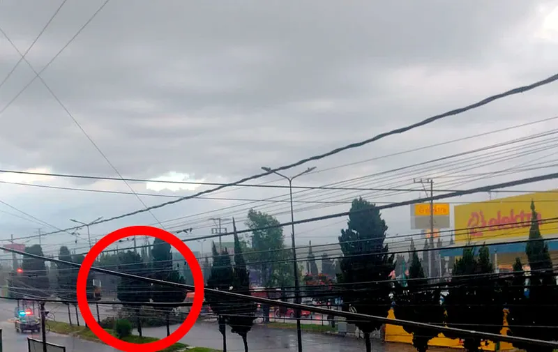 arbol-caido-blvd-xonacatepec-bosques