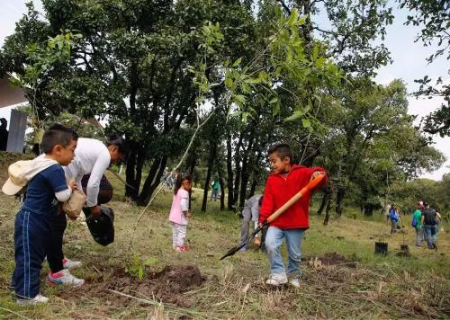 El Ayuntamiento de Puebla y Grupo Sadasi impulsan el cuidado del medio ambiente