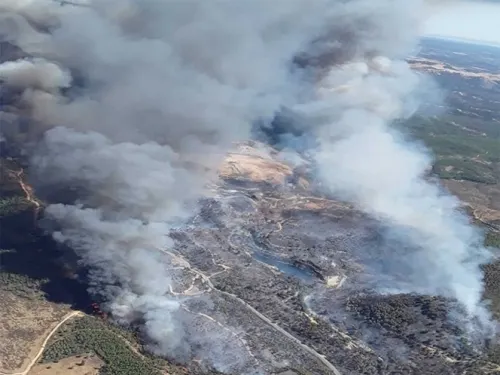 Evacuan a más de 2 mil personas en España por incendio forestal