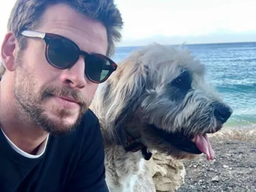 Liam Hemsworth terminó en el hospital debido a su dieta vegana