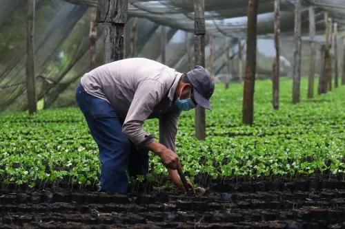 Rescata gobierno del estado al campo poblano