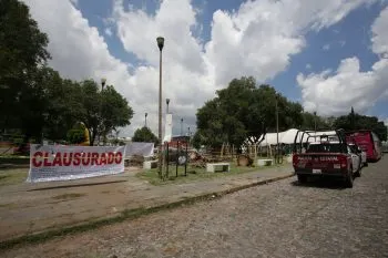 Barbosa se opone al corte de palmeras en Barrio de Analco y Parque Juárez
