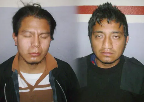 Desmantelan red de falsificadores de licencias de conducir