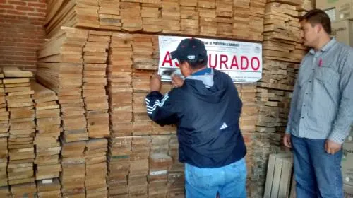 Clausura Profepa maderería y asegura 24.5 metros cúbicos de madera en Puebla