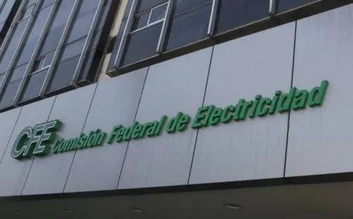 Tras suspensión en BMV, CFE culpa a error en software