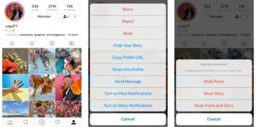 Instagram ya te permite silenciar a los amigos que desees