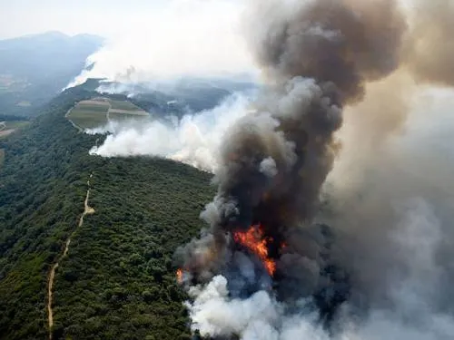 Elevan a 10 los muertos por los incendios en California