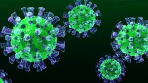 Top 5 de los virus más mortales