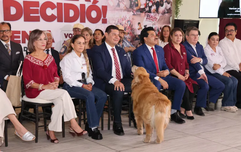 Imagen 3