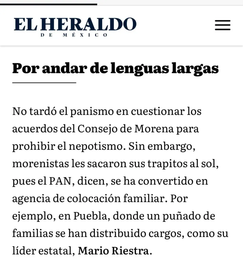 nepotismo-pan-mario-riestra-el-heraldo