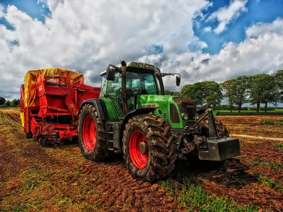 Campo agricultura