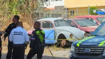 Un hombre fue encontrado muerto con la cabeza destrozada en la colonia Tepeyac