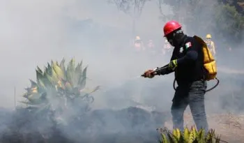 Recibe Policía Estatal Forestal curso de especialización en protección al ambiente