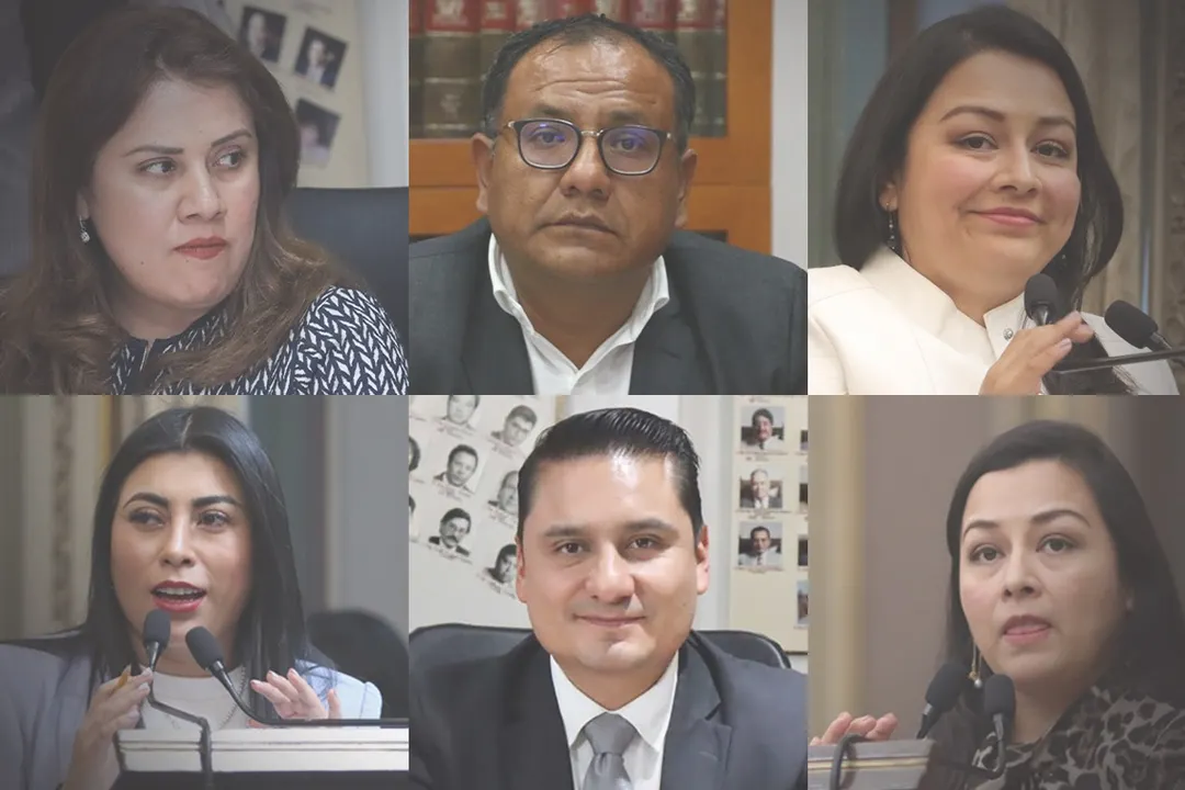 diputados piden licencia