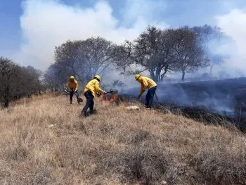Casi un incendio diario ha tenido Puebla capital a finales de marzo