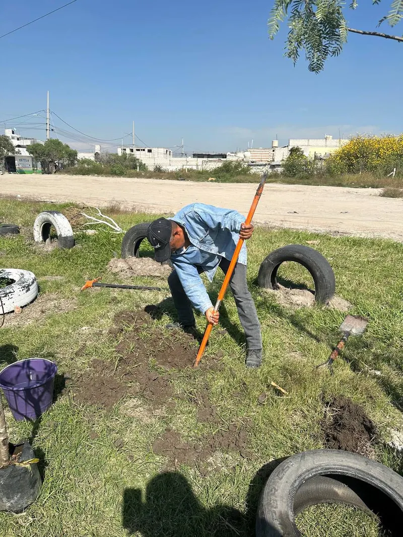 ayto-pue-reforestacion-raices-del-futuro