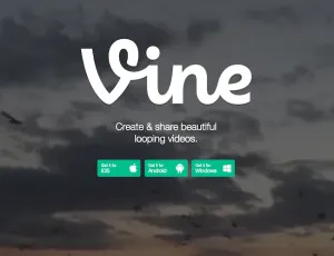 Vine llega a la web